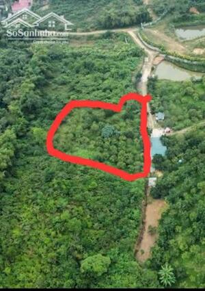 BÁN 1800M2 ĐẤT VIEW THOÁNG, TRÊN ĐẤT ĐƯỢC TRỒNG NHIỀU LOẠI CÂY ĂN QUẢ TẠI TIẾN XUÂN, GIÁ 6,XTR/M2 LH0866990503