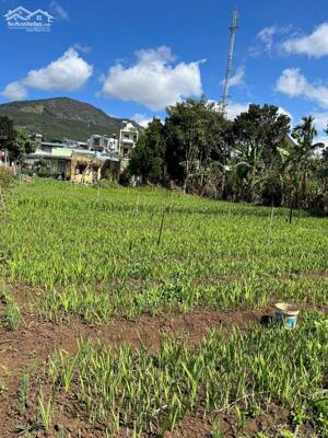 CHÍNH CHỦ CẦN BÁN GẤP LÔ ĐẤT GIÁ LỖ NGAY XÃ HIỆP THẠNH, ĐỨC TRỌNG, LÂM ĐỒNG