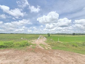 bán đất tân biên tây ninh, dt đất 16.000m2 (1,6ha). giá 17 tỷ