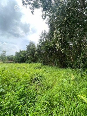 quỹ đất vàng 1.811,7m² ngang 26m mặt tiền trường lưu hiếm có