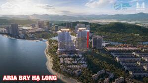 Cần bán căn 1PN chung cư sát biển Aria Bay Hạ Long 47.5m2 giá 3.721 tỷ hướng Đông Nam