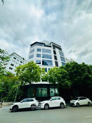 tôi cc cho thuê nhà mp dịch vọng hậu dt 160m2/sàn,mt 15m nhà 8 tầng hợp mọi mô hình giá chỉ 240tr