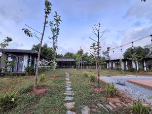 bán lô đất 3 mặt tiền đường biển thanh niên ngay quảng trường - dt : 1852m2 sẵn homestay hồ bơi