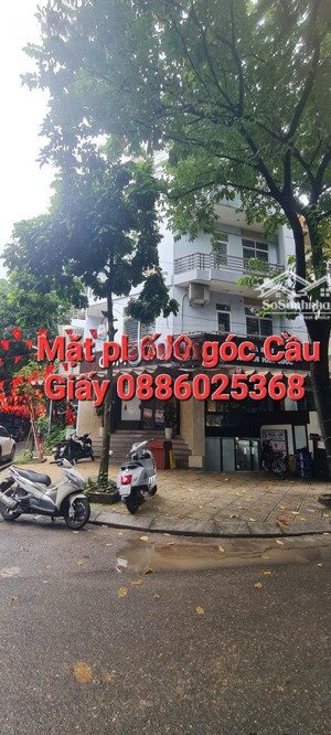 cho thuê nhà nguyên căn - mặt phố cầu giấy - lô góc 2 mặt tiền - vị trí đắc địa cầu giấy
