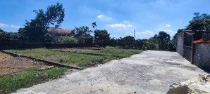 " cầm tiền còn sợ tiền rơi, cầm giấy sở hữu nhà đất đời đời ấm no". cơ hội vàng để sở hữu 3lô đấ