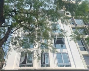 cần bán nhà đẹp mặt phố vip trần hưng đạo, hoàn kiếm, 210m2 x 9 tầng, kd đỉnh, 235 tỷ