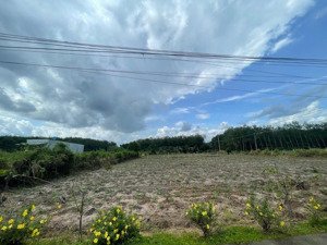 em có vài sào ở đồng nai mới giáp suối và 2 mặt tiền cần bán giá từ 380tr sổ sẵn, nằm gần ql14