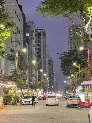 mua bán đất tại đường an thượng 29 gần biển, quận ngũ hành sơn, đà nẵng giá 1. 4 tỷ