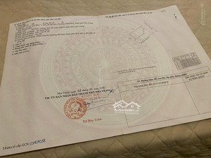 chỉ 85tr/m2 sở hữu lô góc 303,9m2 đường xuân thủy giao tế hanh. ngay bến du thuyền. kđt vĩnh hòa