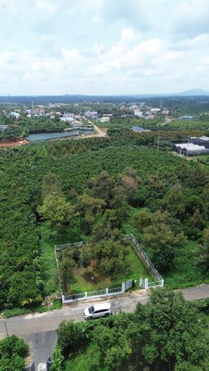 bán đất bảo lộc -dt 437m2 ngang 20m sẵn 299m2 thổ cư đường trịnh hoài đức, phường b''lao, tp bảo lộc