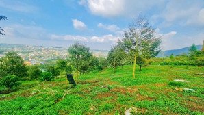 chỉ 1,5 tỷ cho 1,2 sào đất view sẵn 25m mặt tiền bê tông