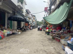 bán đất trung tâm mai lâm-đông anh-46m2-4 tỷ-ô tô-hàng xóm vinhomes