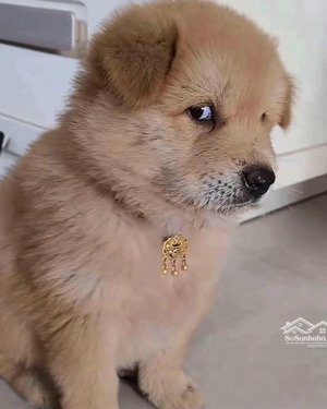 hxh nguyễn thị thập 4x15 5 tầng full nt mới 12ty390