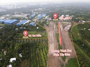 7123.4 m2 vành đai phía Tây QL 61C