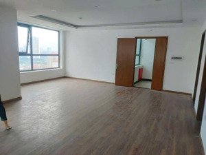 tổng hợp quỹ căn đầy đủ diện tích 77m 86m 95m 107m 123m chính chủ bán cam kết rẻ nhất thị trường