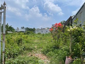 bán lô biệt thự 1000m2 sổ riêng có 100m2 thổ cư. p. tân biên. vị trí: gần cv30/4. gần tđc tân biên