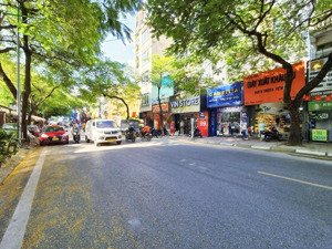 mặt phố núi trúc, kim mã, ba đình, 137m x4t vỉa hè, 2 mặt tiền, thiên đường kinh doanh