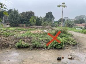 Chính chủ cần bán gấp lô góc ba mặt thoáng tại trung tâm khu đấu giá Chi Đông, Lệ Chi, Gia Lâm