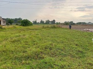 bán gấp đất nền tại xã tân mỹ, đức hòa, long an, 15.5triệu/m2, 250 m2