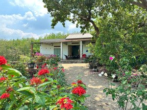 chính chủ cần bán nhà vườn nghĩ dưỡng giáp suối