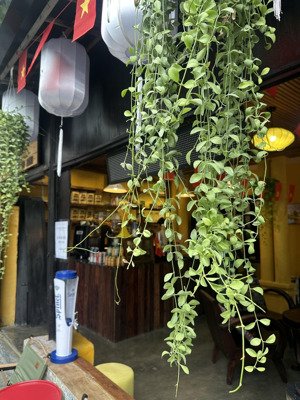 114m2, trung tâm phố cổ hội an, sẵn mặt tiền 3 tầng kinh doanh chỉ 19.3 tỷ hai bà trưng.