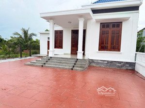 bán nhà siêu đẹp tại hữu bằng kiến thụy diện tích: 212m (ngang 12m gồm 3 bìa)