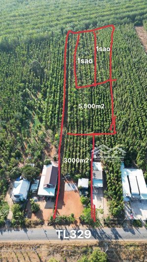 chính chủ bán đất 10.500m² giá 15 tỷ, tỉnh lộ 329 hòa hội, xuyên mộc, bà rịa vũng tàu