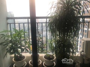 cho thuê căn hộ ecolife tây hồ, 88m2, 2pn, đủ đồ, 14.5 tr/th. lh: 