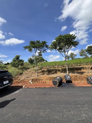 chính chủ bán đất lộc tân, bảo lâm, lâm đồng 3,5 tỷ, 1000m2, đất thật giá trị thật, siêu đẹp!