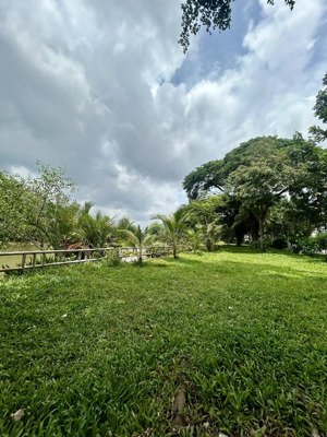 nhà phố siêu vip p.tân phong quận 7 , dt 7x18m , 5 tầng chỉ nhỉnh 27ty