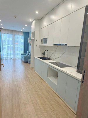 cho thuê căn hộ 2pn2wc full đồ tại sa2 - vinhomes smart city, 11 triệu vnd, 55m2