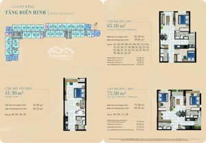 sang nhượng 2pn 65m2 đợt 1 - tầng cao view sông