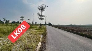 bán đất khu đấu giá bám đường 379, xã yên hòa, yên mỹ, hưng yên