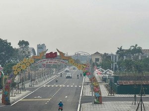 độc quyền lô đất đẹp mai lâm đông anh gần triển lãm quốc gia đầu tư sinh lời cao