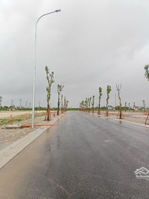 bán đất tái định cư vinhome dương kinh