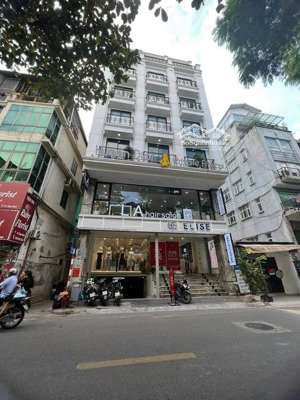 hđ thuê 300tr/th - bán 70 chdv đường quang trung, gò vấp - nh 11.5x24m, hầm 7 tầng pccc - 49.9 tỷ