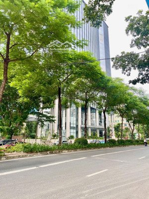 siêu phẩm mặt phố-lô góc-dân xây-thang máy -dòng tiền 37tr/thg-mặt tiền rộng-vị trí đỉnh - lang hạ