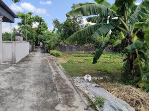 em còn duy nhất một lô đất đẹp tại an sơn thủy nguyên hải phòng- giá nửa tỷ