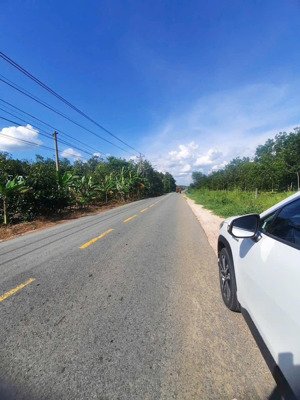 10x60x100tc đường nhựa 32m thông đt744 và dh704 ngây kcn, kinh doanh mua bán quá ngon giá chỉ 990tr