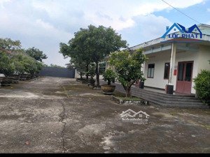 cho thuê 15000m2 gần ql51 phường long hưng chỉ 70 triệu/ tháng