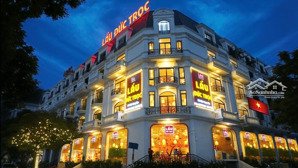 lô góc-cho thuê mặt phố view đẹp tại nguyễn khánh toàn, dt 104m2x 2tầng, giá siêu ưu đãi