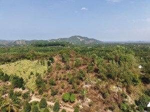 bán đất đồi siêu đẹp giá siêu tốt, tân phú, đồng nai