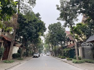 bán gấp biệt thự kđt định công - trần điền vị trí cực đẹp thuận lợi duy chuyển 150m mặt tiền 10m