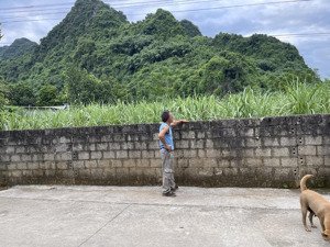 chính chủ bán lô đất vàng vị trí đắc địa mua là thắng giá cực rẻ 3tr mét đường thông lõi dân cư