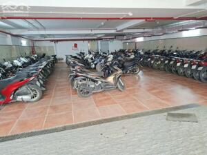 Mặt phố Phan Kế Bính 108m2, 8 nổi 1 hầm, mặt tiền 10.5m kinh doanh đỉnh VIP Ba Đình