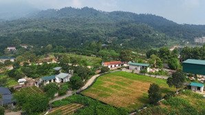đất nghỉ dưỡng view đẹp xung quanh là quần thể nghỉ dưỡng tại vân hoà ba vì