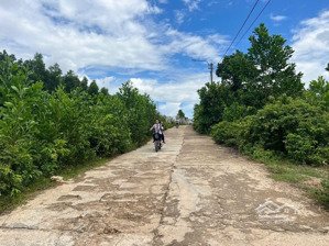 bán 2000m2 đất vườn. ngang 48m. đường trước đất 5m. gần vành đai nam kỳ khởi nghĩa 200m