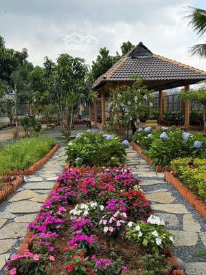 hiếm! bán nhà c4 tiện xây chdv 6 tầng dt: 400m2 cạnh trường cao đẳng võ văn ngân giá cực rẻ