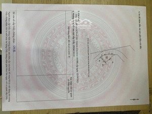 lô góc 64m đất dịch vụ đồng giường la phù . hàng xóm khu d gleximco