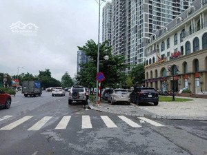 chỉ nhỉnh 4 tỷ bạn đã sở hữu lô đất đẹp có 1 ko 2 tại trâu quỳ gia lâm tiềm năng tăng trưởng cao